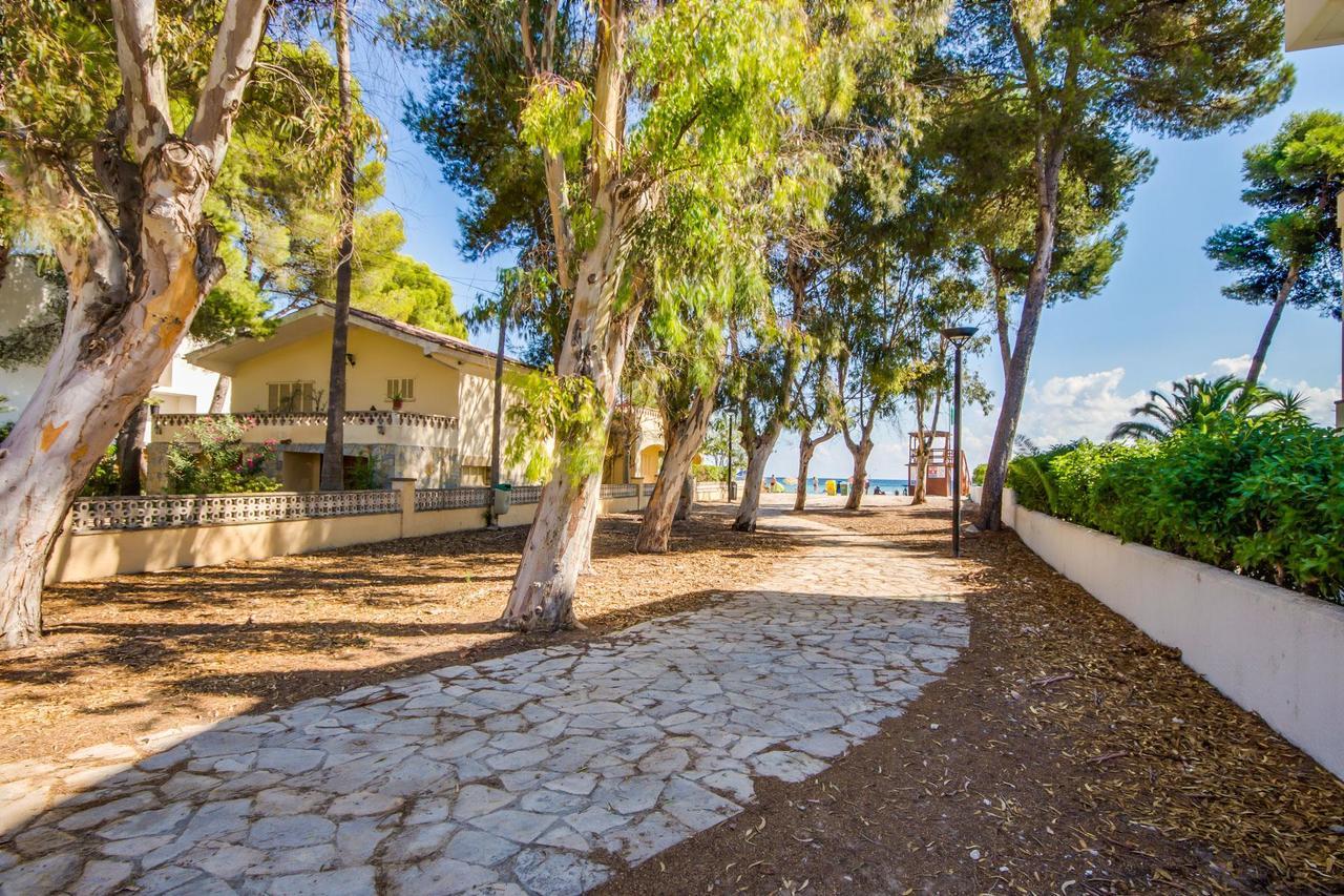 Ideal Property Mallorca - Villa Rosita 12A Alcudia  Exterior photo